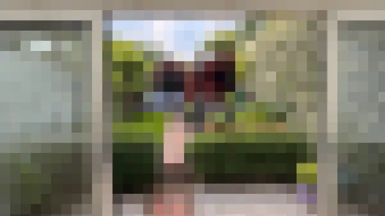 Landpoortstraat 14 Ravenstein thumbnail 31