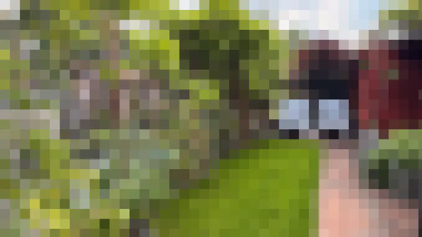 Landpoortstraat 14 Ravenstein thumbnail 32