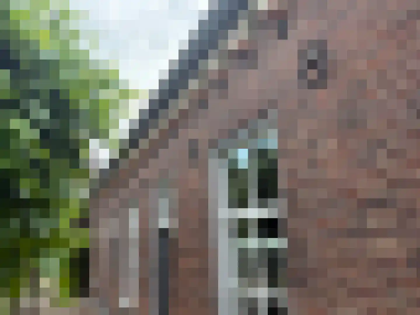 Landpoortstraat 14 Ravenstein thumbnail 35