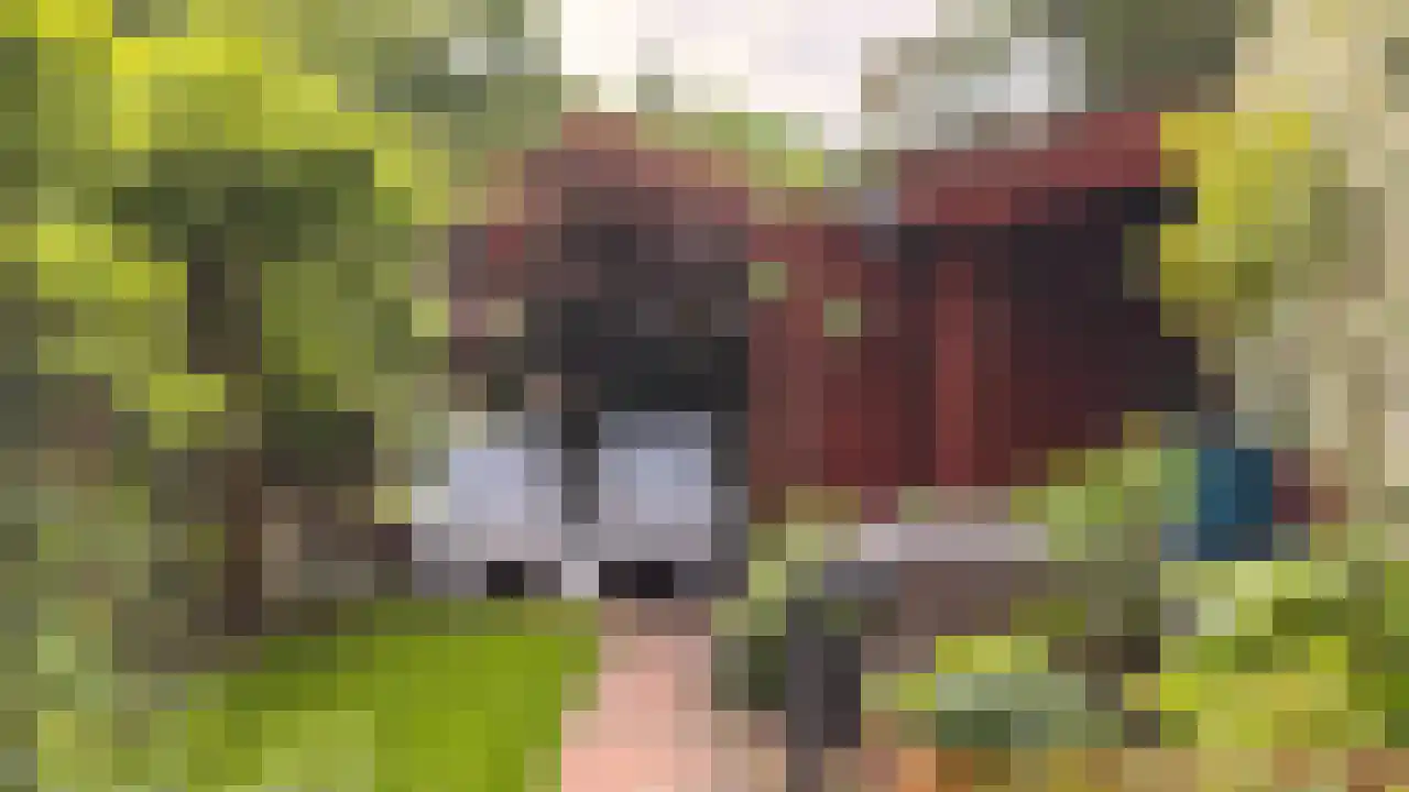 Landpoortstraat 14 Ravenstein thumbnail 4