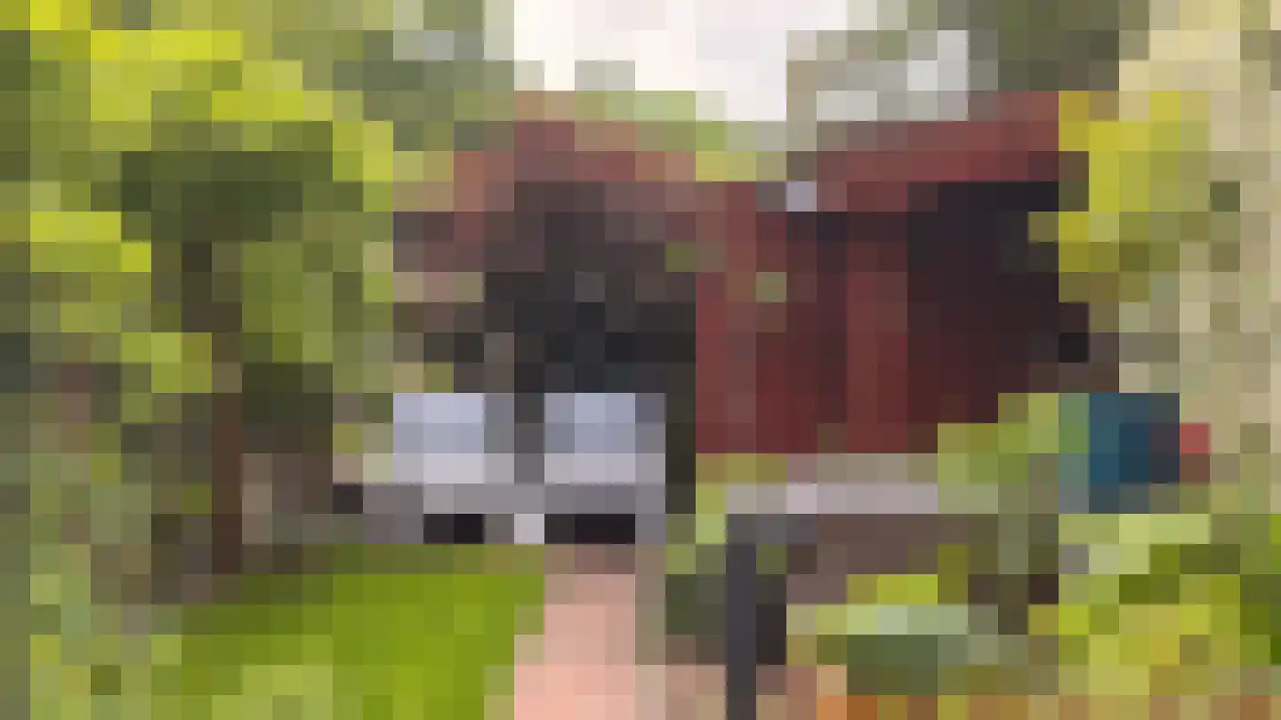 Landpoortstraat 14 Ravenstein thumbnail 4