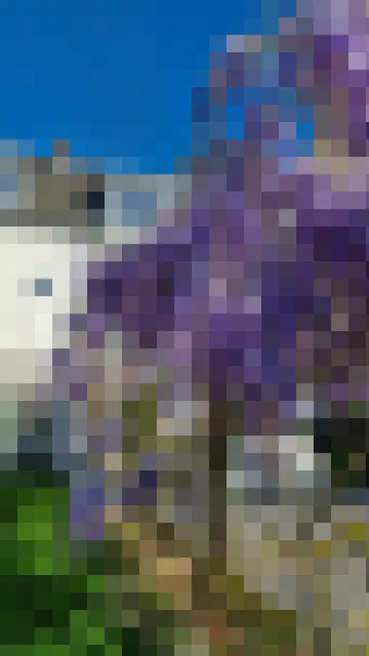 Landpoortstraat 14 Ravenstein thumbnail 42