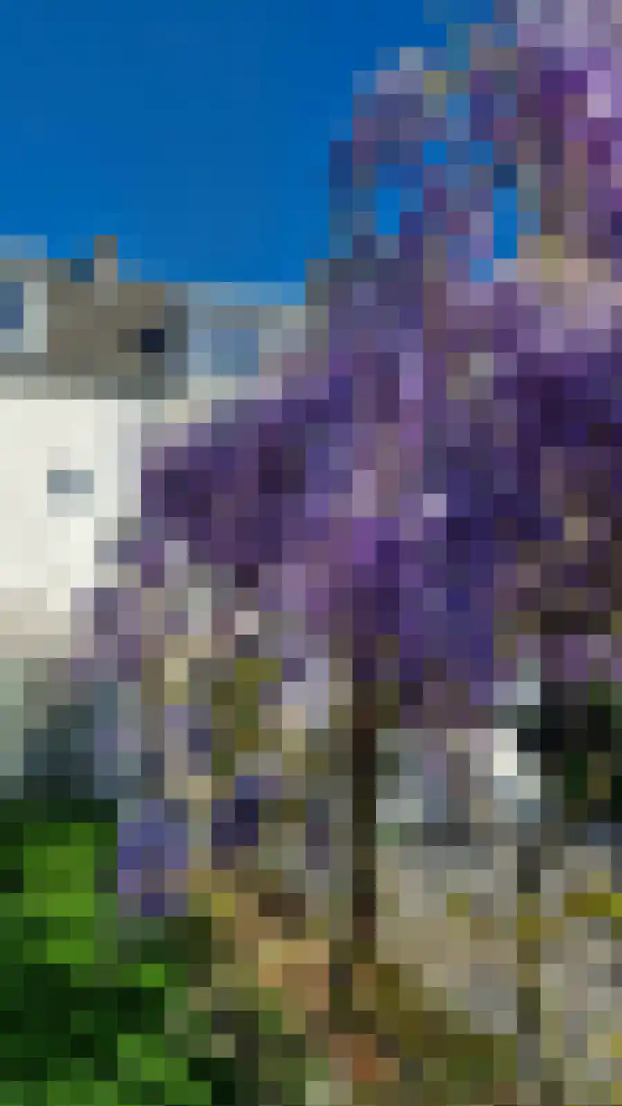 Landpoortstraat 14 Ravenstein thumbnail 42