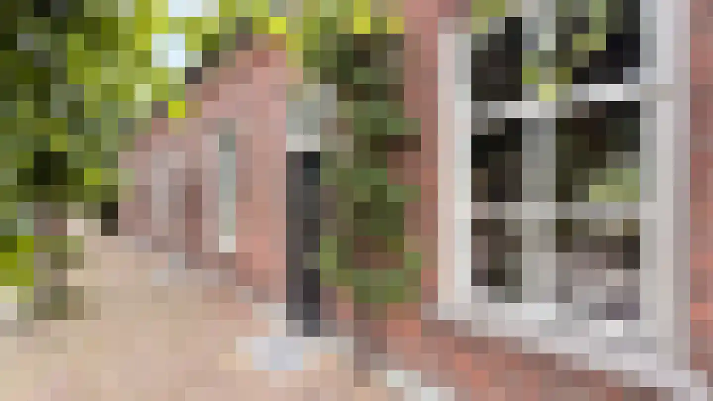Landpoortstraat 14 Ravenstein thumbnail 5