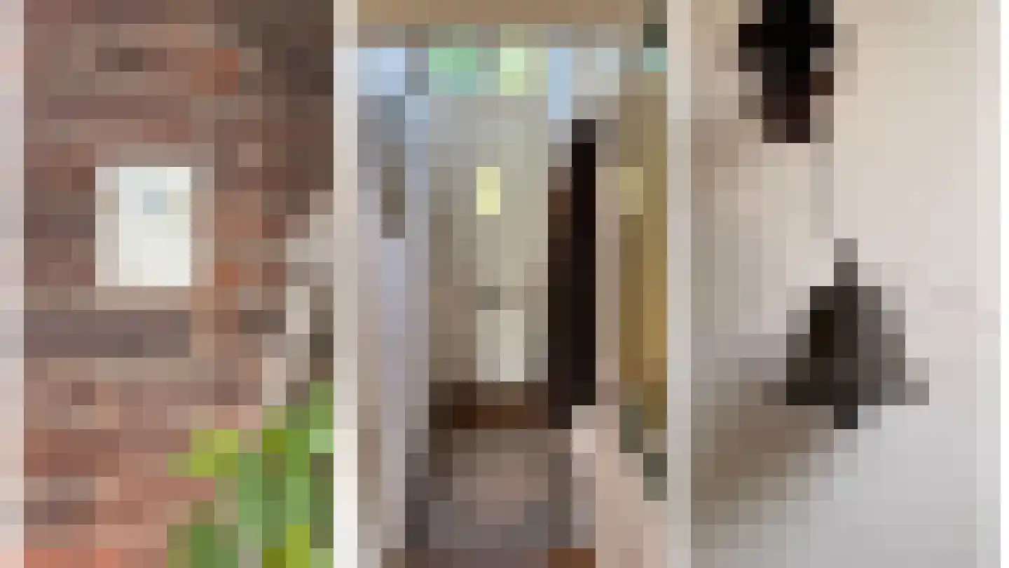 Landpoortstraat 14 Ravenstein thumbnail 6