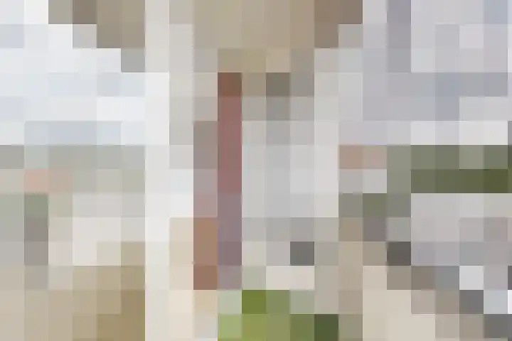 Landpoortstraat 18 Willemstad thumbnail 31