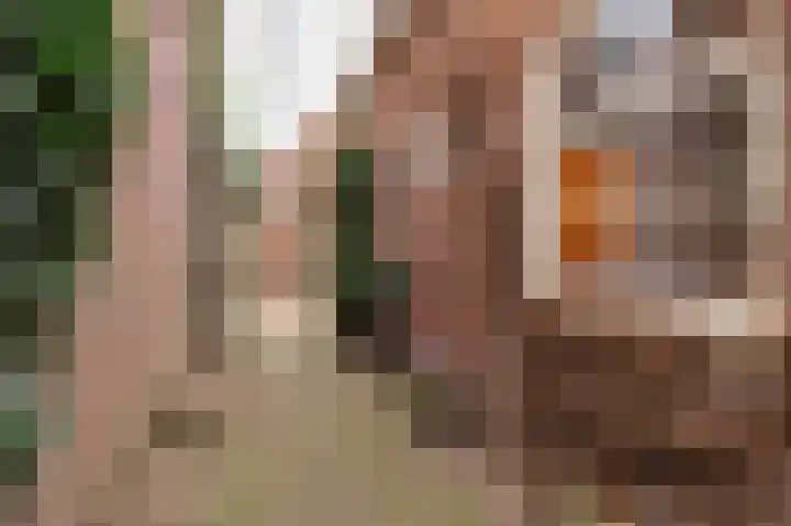 Landpoortstraat 25 Woudrichem thumbnail 34