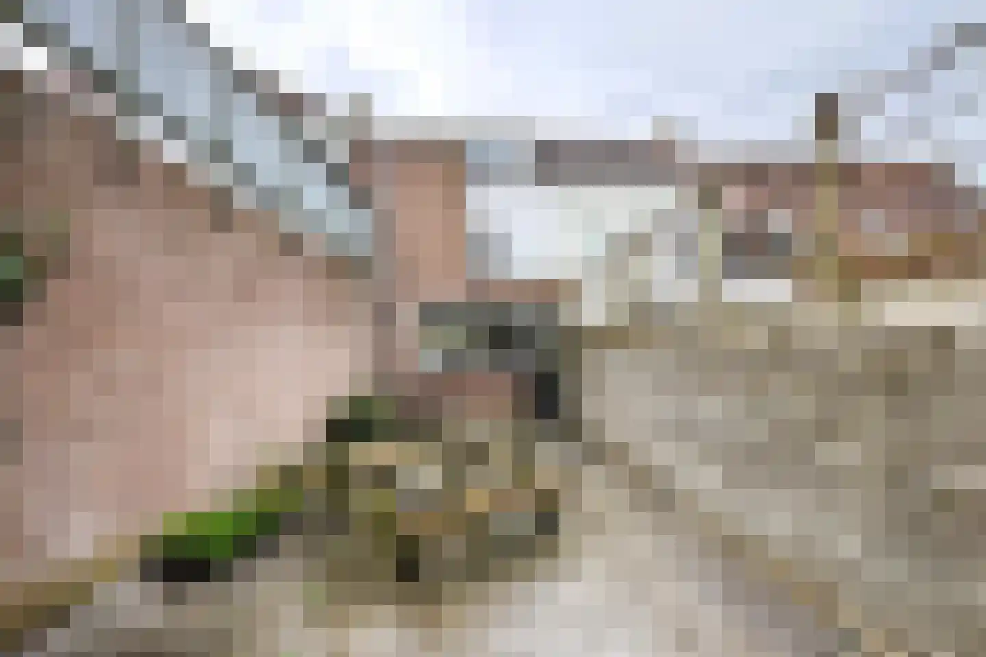 Landpoortstraat 9 Willemstad thumbnail 46