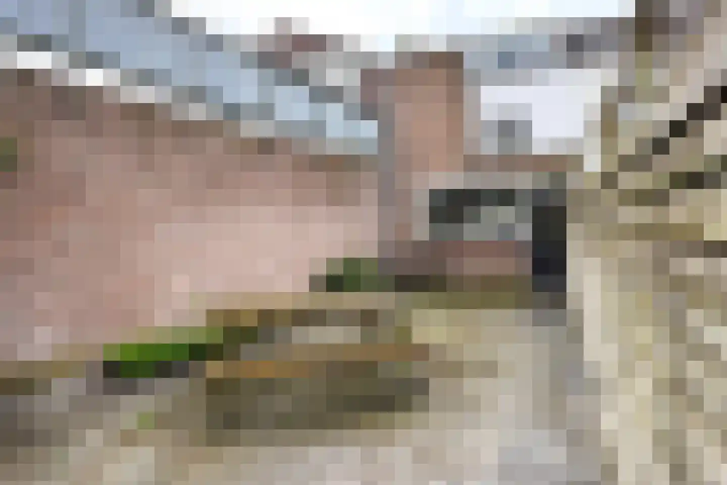 Landpoortstraat 9 Willemstad thumbnail 47