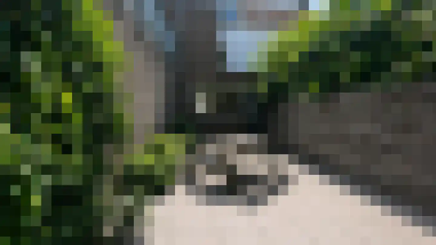 Landpoortstraat 9 Willemstad thumbnail 49