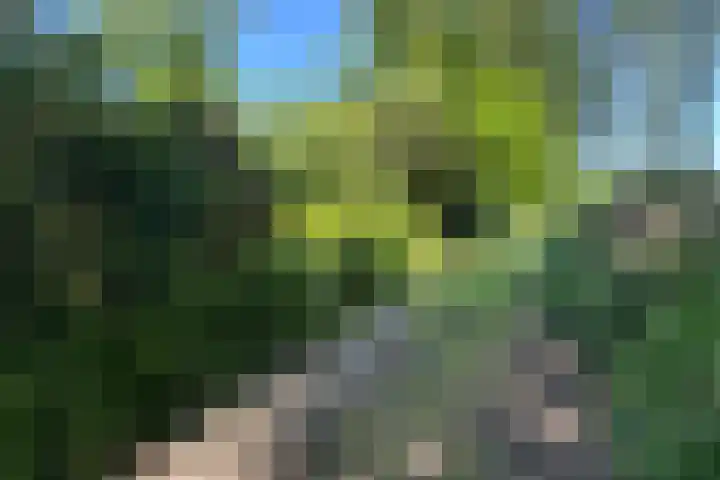 Landrebenlaan 54 Oldenzaal thumbnail 35
