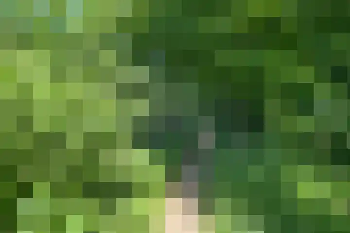 Landrebenlaan 54 Oldenzaal thumbnail 37