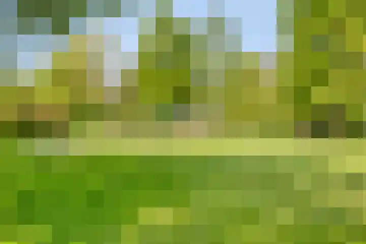 Landrebenlaan 54 Oldenzaal thumbnail 38