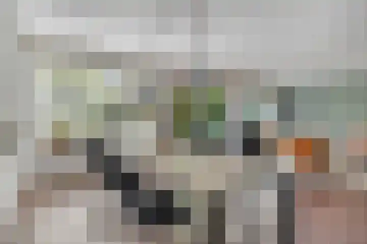 Landrebenlaan 54 Oldenzaal thumbnail 5