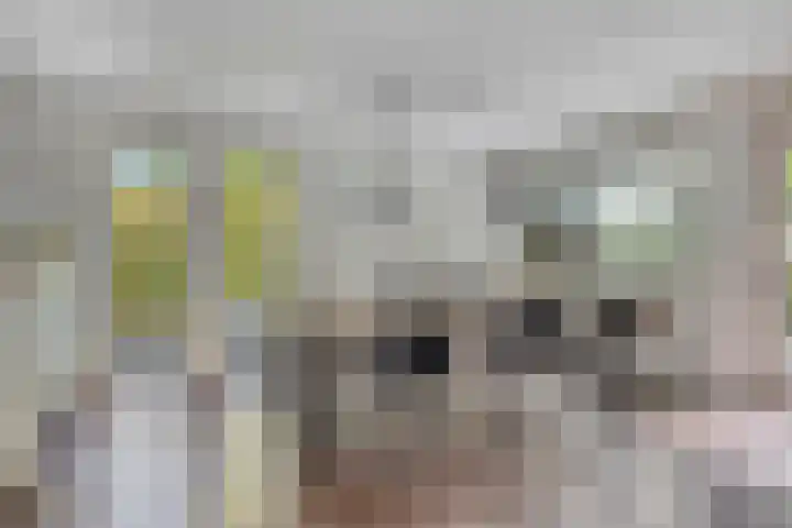 Landrebenlaan 54 Oldenzaal thumbnail 6