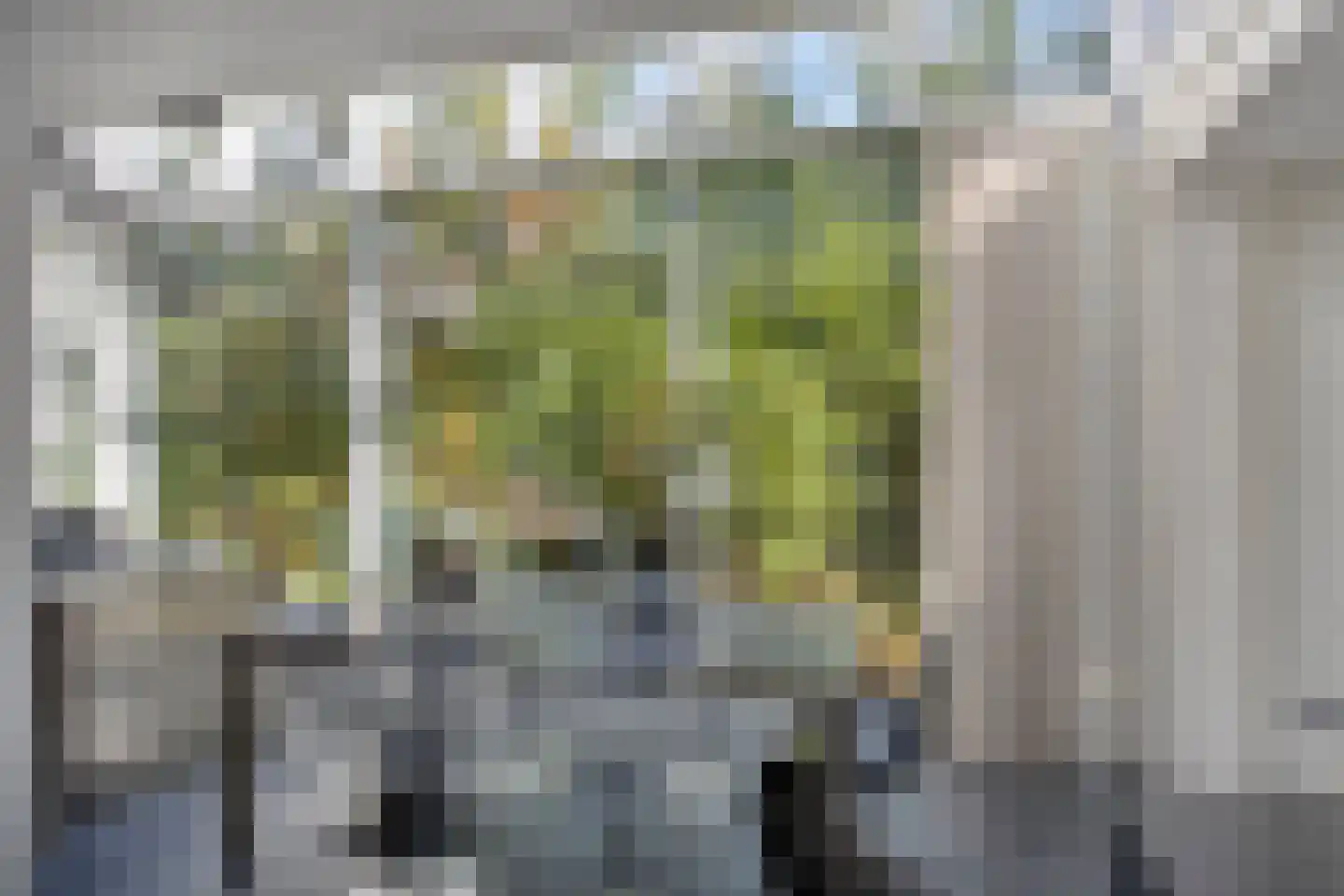Landrebenlaan 56 Oldenzaal thumbnail 13