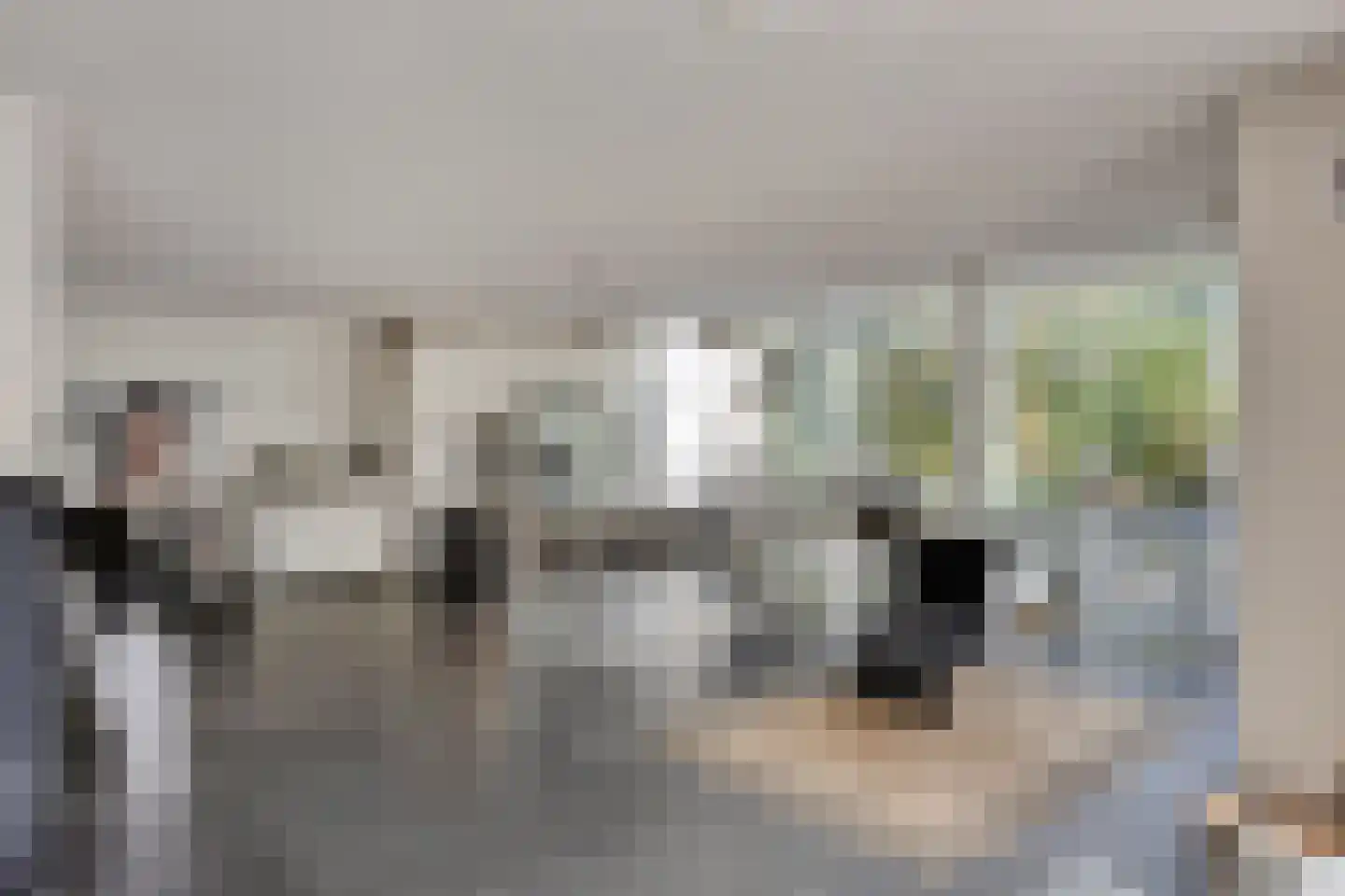 Landrebenlaan 56 Oldenzaal thumbnail 14