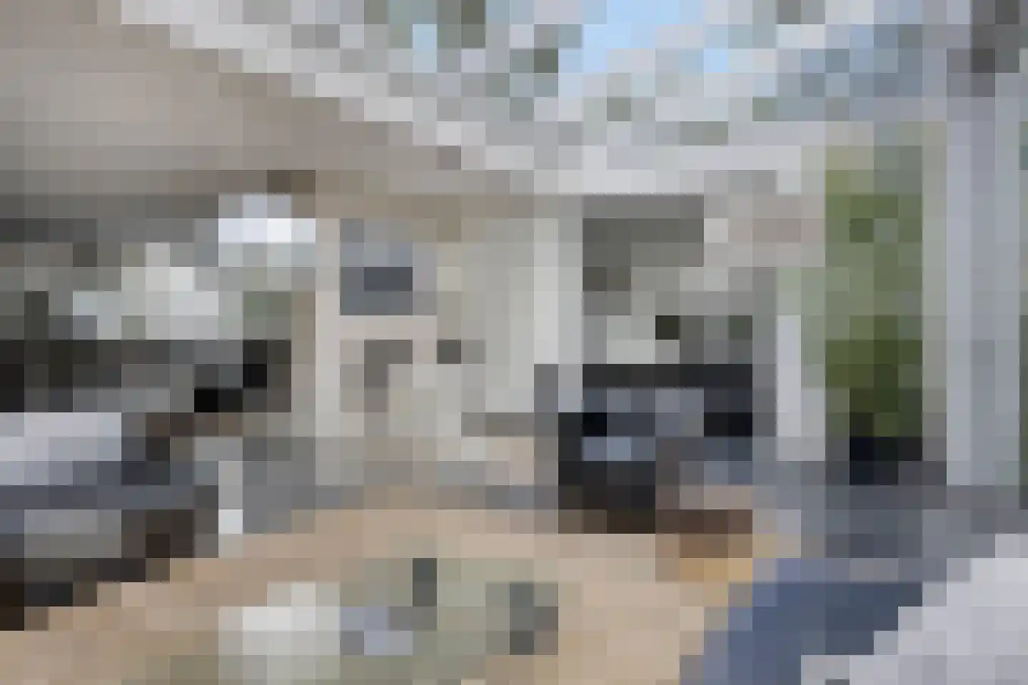 Landrebenlaan 56 Oldenzaal thumbnail 17