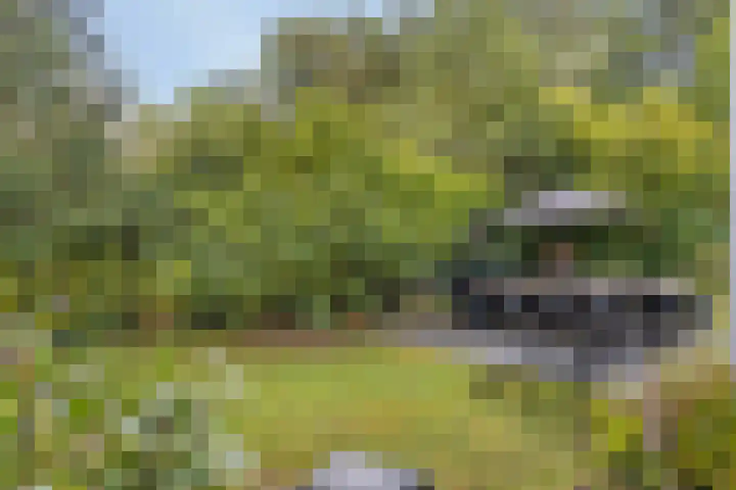 Landrebenlaan 56 Oldenzaal thumbnail 33