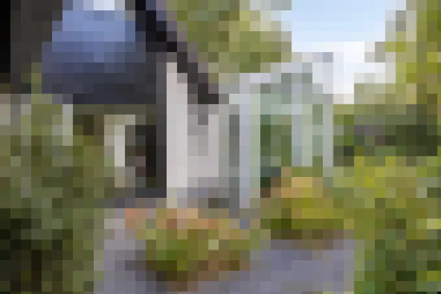 Landrebenlaan 56 Oldenzaal thumbnail 36