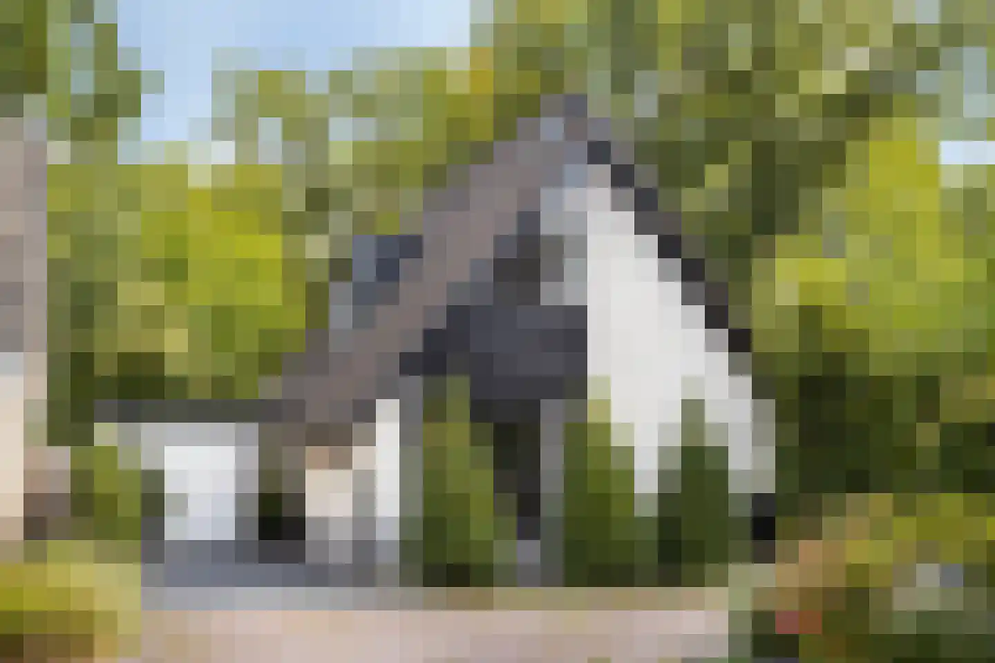 Landrebenlaan 56 Oldenzaal thumbnail 37