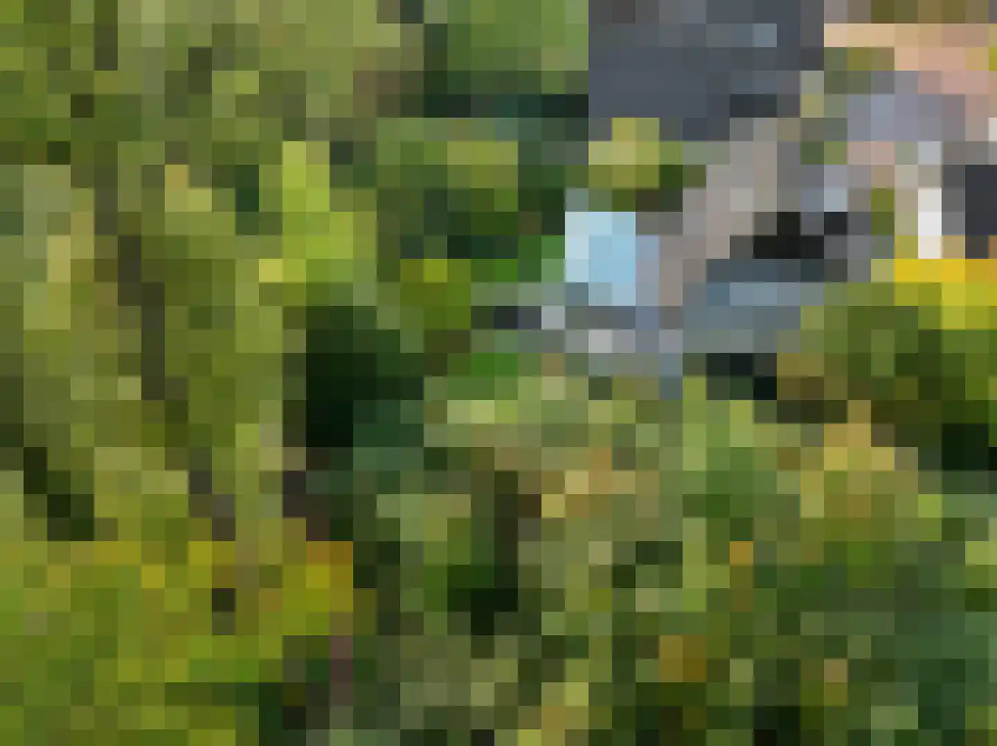 Landrebenlaan 56 Oldenzaal thumbnail 38