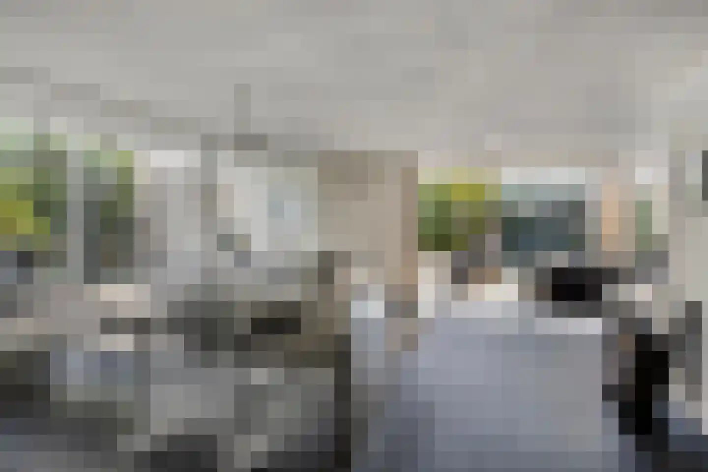 Landrebenlaan 56 Oldenzaal thumbnail 7