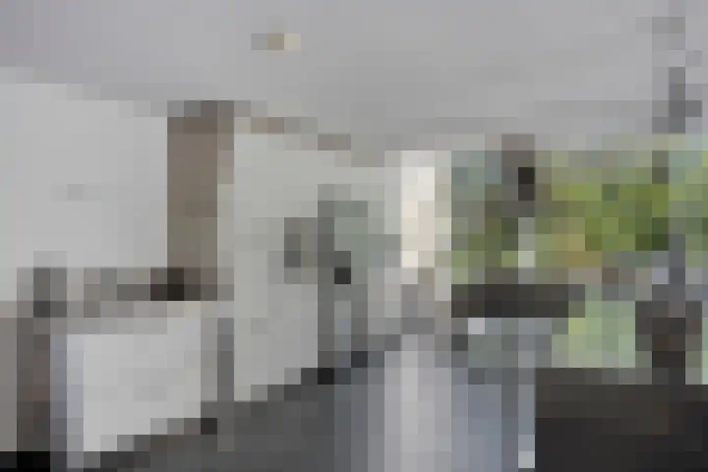 Landrebenlaan 56 Oldenzaal thumbnail 9