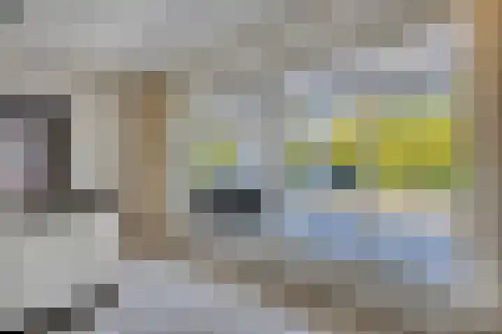 Landrebenlaan 92 Oldenzaal thumbnail 13