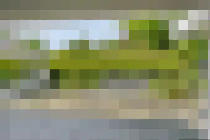 Landrebenlaan 92 Oldenzaal thumbnail 25