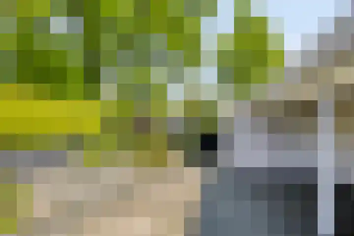 Landrebenlaan 92 Oldenzaal thumbnail 27