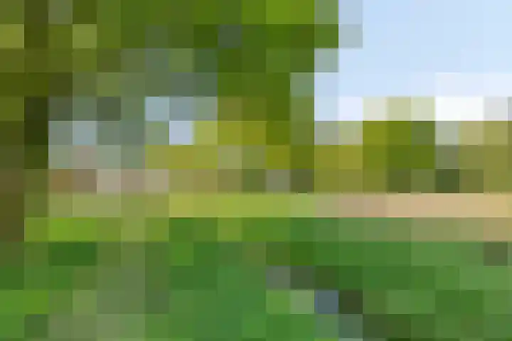 Landrebenlaan 92 Oldenzaal thumbnail 29