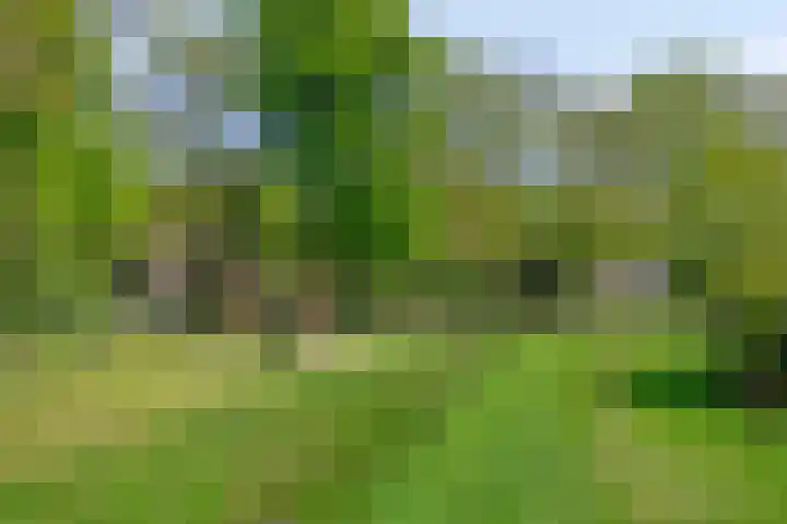 Landrebenlaan 92 Oldenzaal thumbnail 30