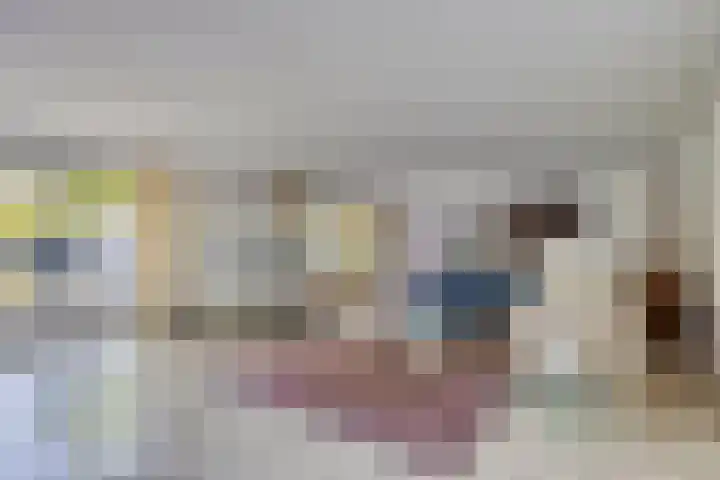 Landrebenlaan 92 Oldenzaal thumbnail 7