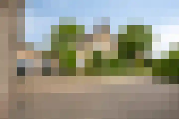 Landrop 14 Hoogeloon thumbnail 10