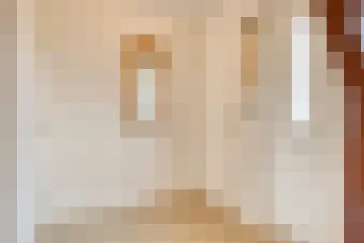 Landrop 14 Hoogeloon thumbnail 13