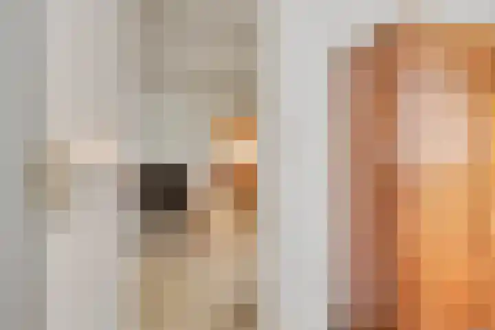 Landrop 14 Hoogeloon thumbnail 15