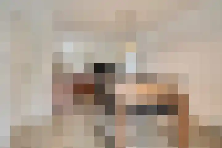 Landrop 14 Hoogeloon thumbnail 16