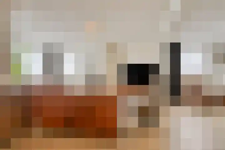 Landrop 14 Hoogeloon thumbnail 17