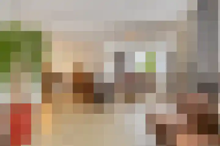 Landrop 14 Hoogeloon thumbnail 18