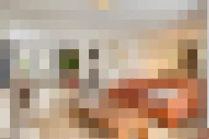Landrop 14 Hoogeloon thumbnail 21