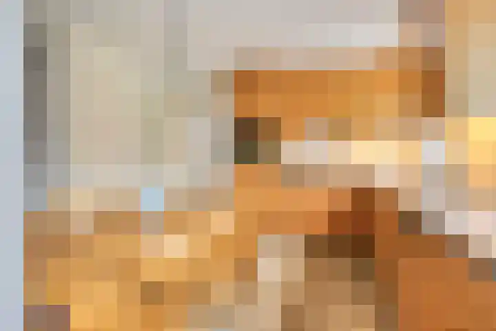 Landrop 14 Hoogeloon thumbnail 27