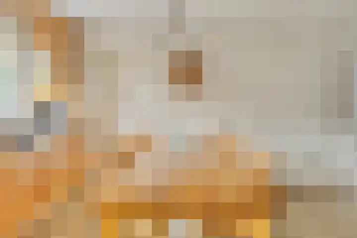 Landrop 14 Hoogeloon thumbnail 28