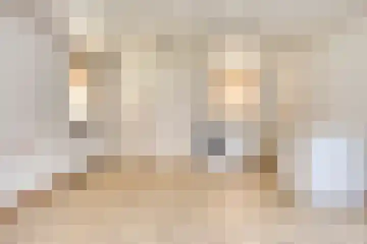 Landrop 14 Hoogeloon thumbnail 33