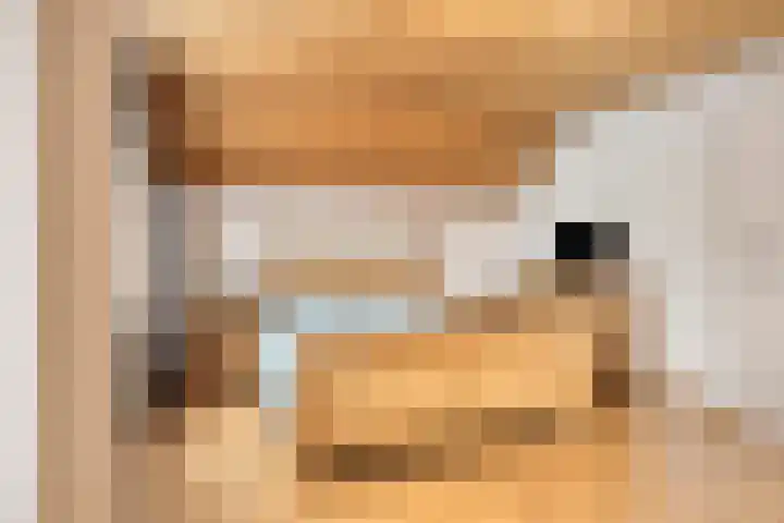 Landrop 14 Hoogeloon thumbnail 36