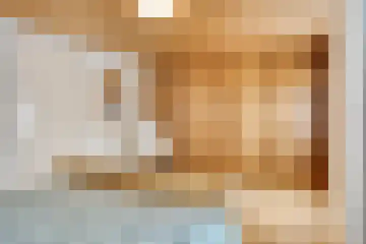 Landrop 14 Hoogeloon thumbnail 38