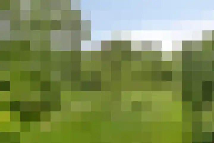 Landrop 14 Hoogeloon thumbnail 4