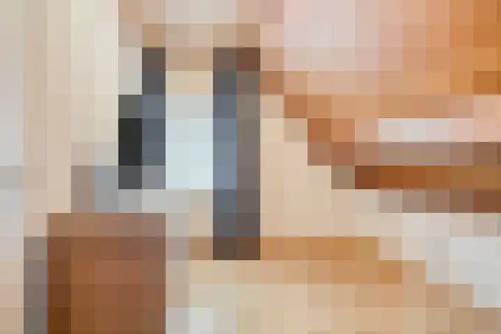 Landrop 14 Hoogeloon thumbnail 41