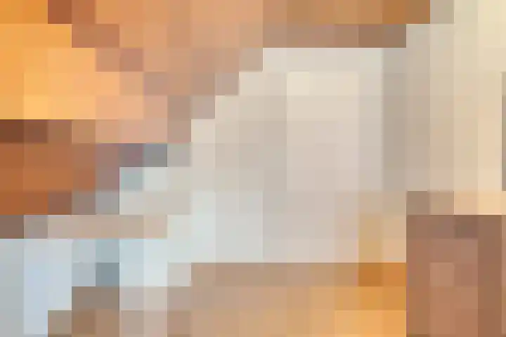 Landrop 14 Hoogeloon thumbnail 42