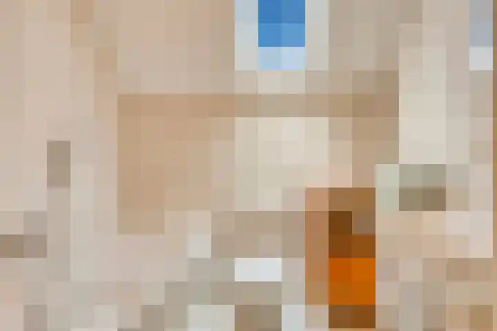Landrop 14 Hoogeloon thumbnail 43